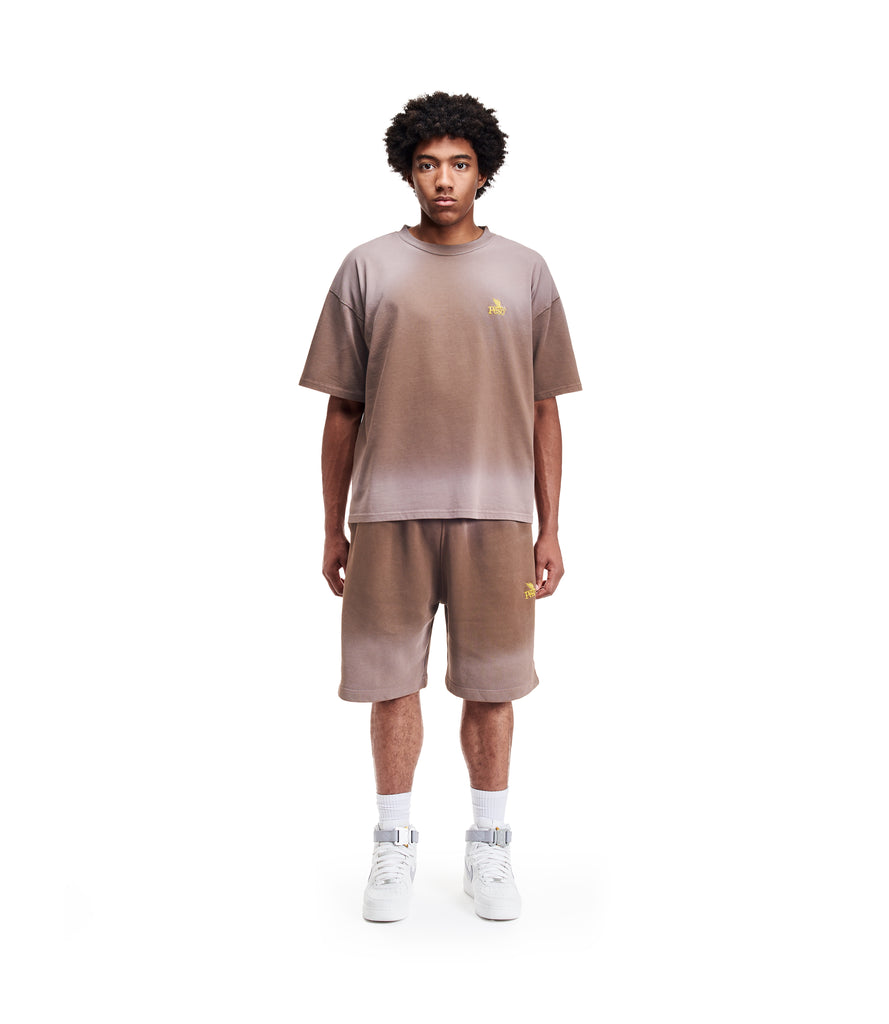 Faded Shorts