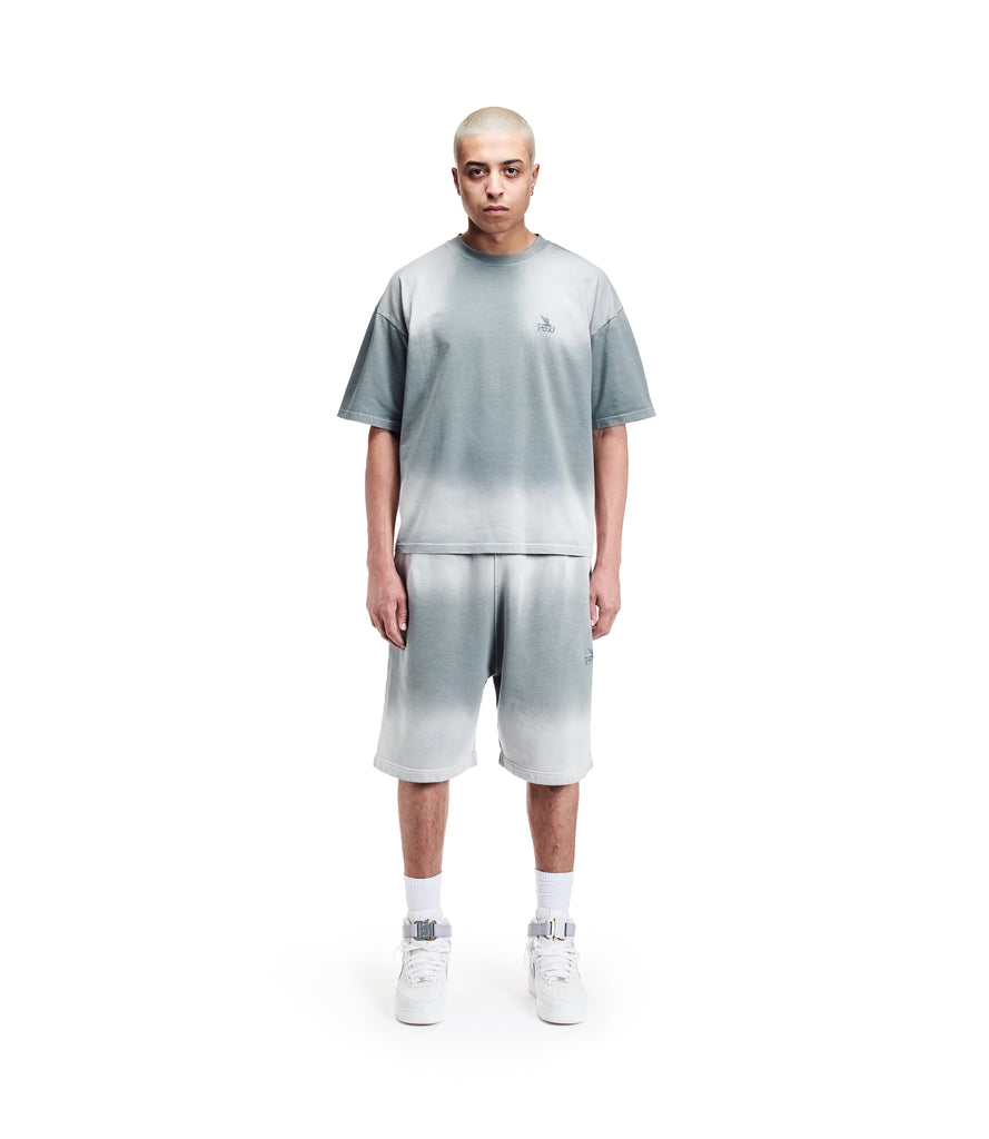 Faded Shorts