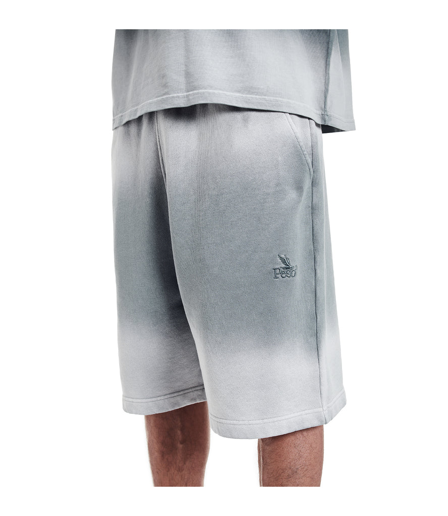 Faded Shorts
