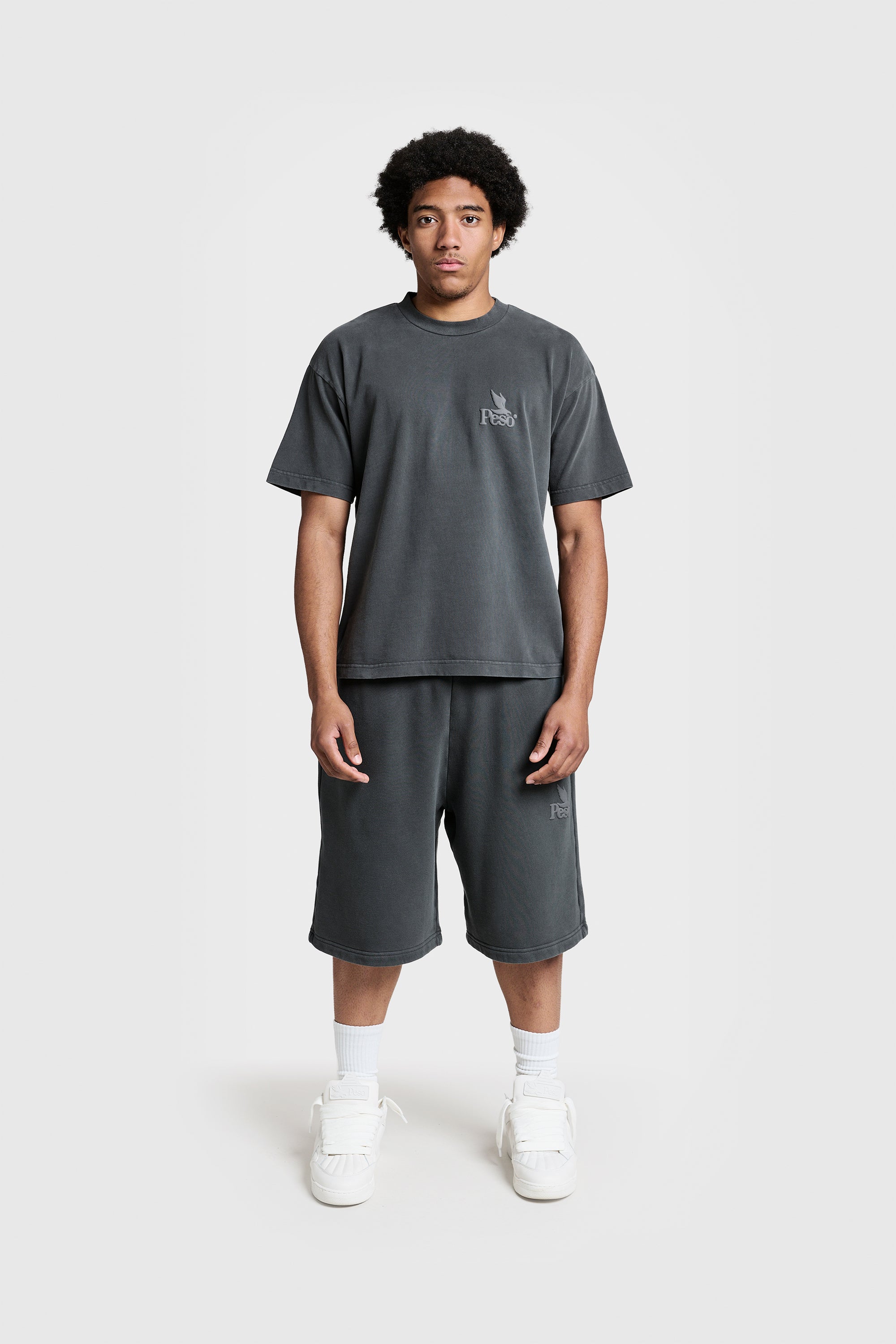 Peso RAWS Shorts Stone – Jetzt online kaufen
