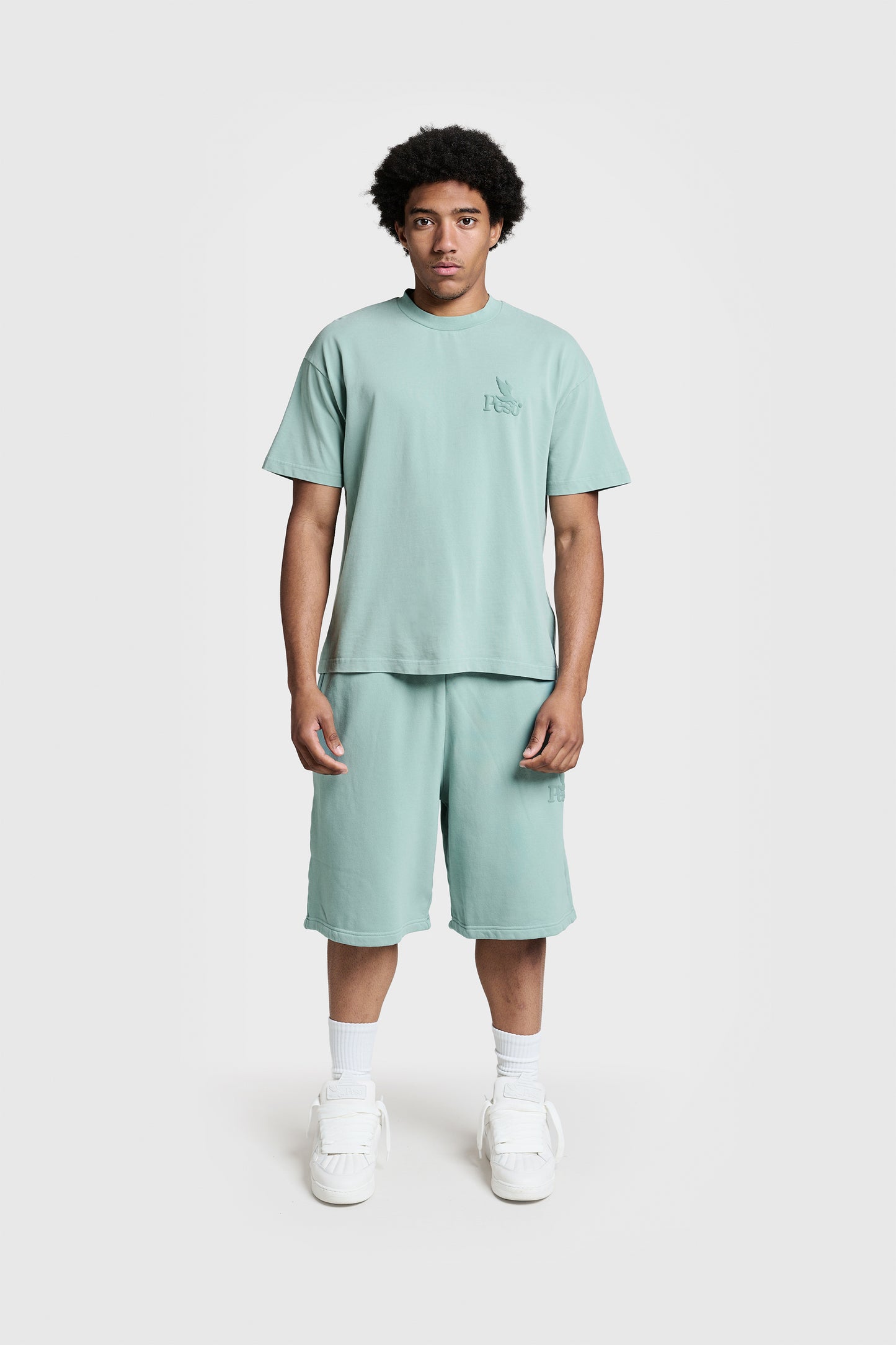 RAWS Shorts