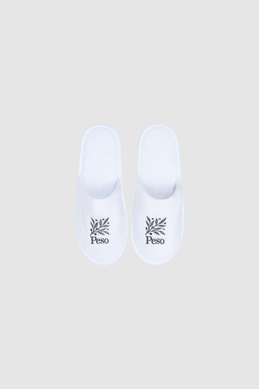 Hotel Slides