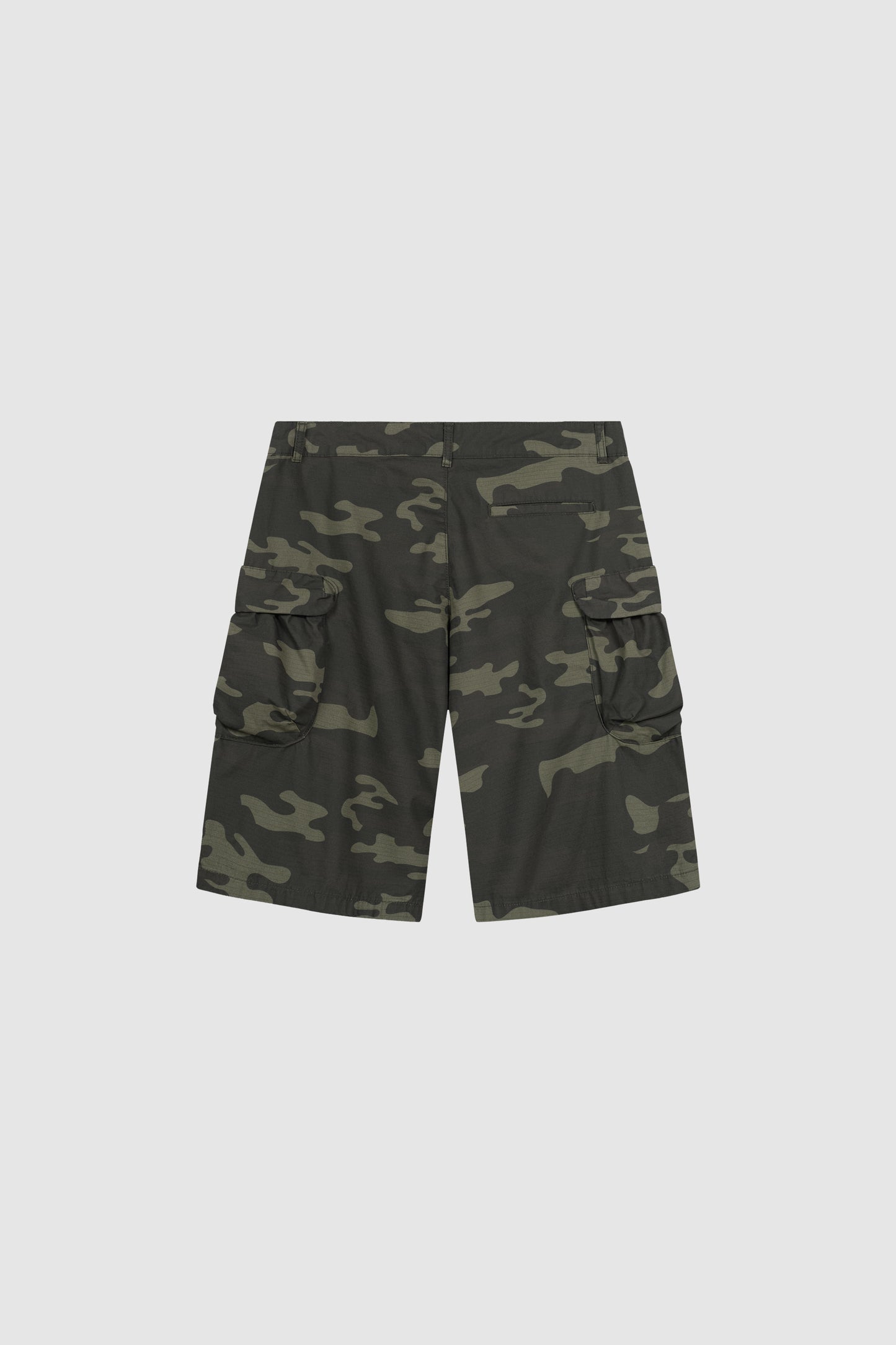 Big Cargo Shorts