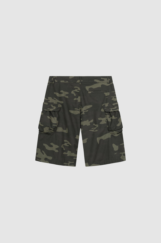 Big Cargo Shorts