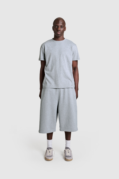 Raws Shorts