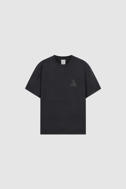 Plain