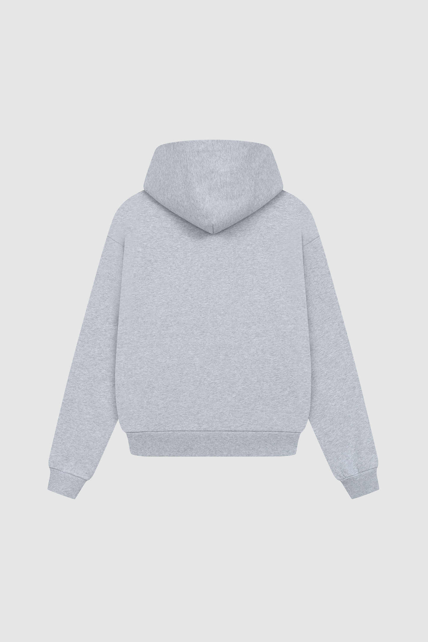 Raws Hoodie