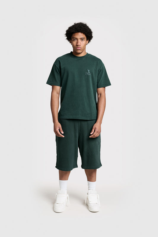 RAWS Shorts