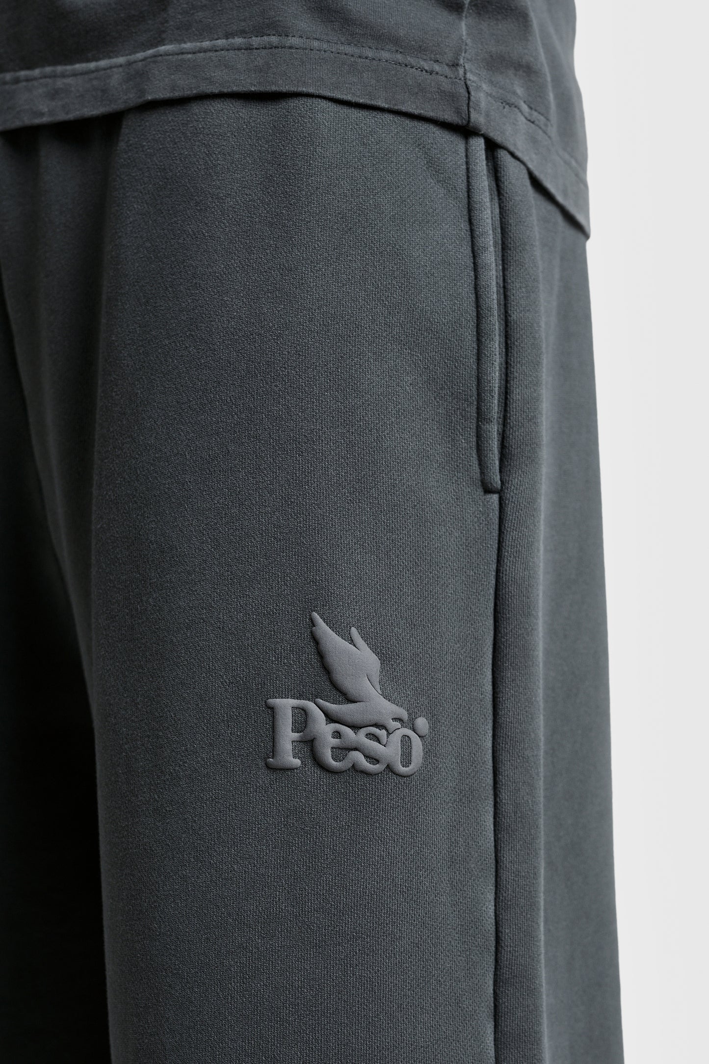 RAWS Shorts