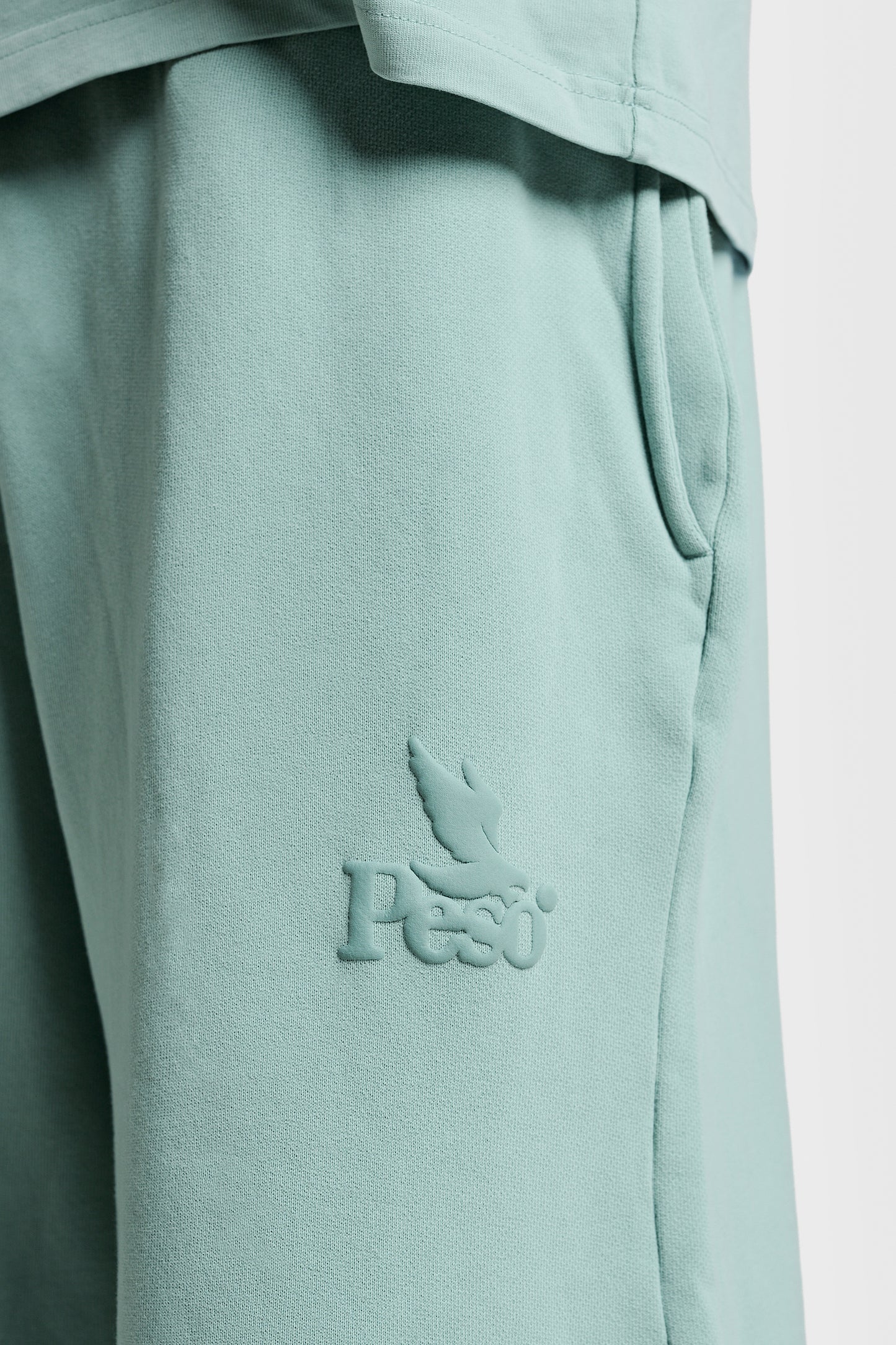 RAWS Shorts