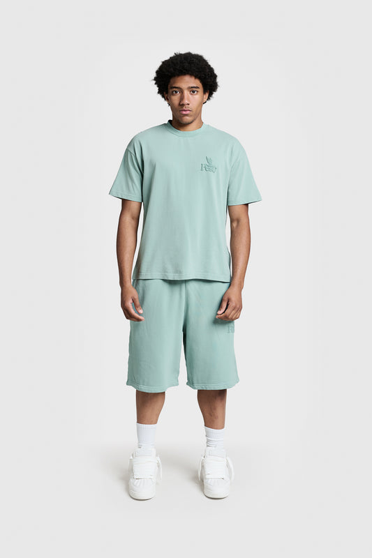 RAWS Shorts