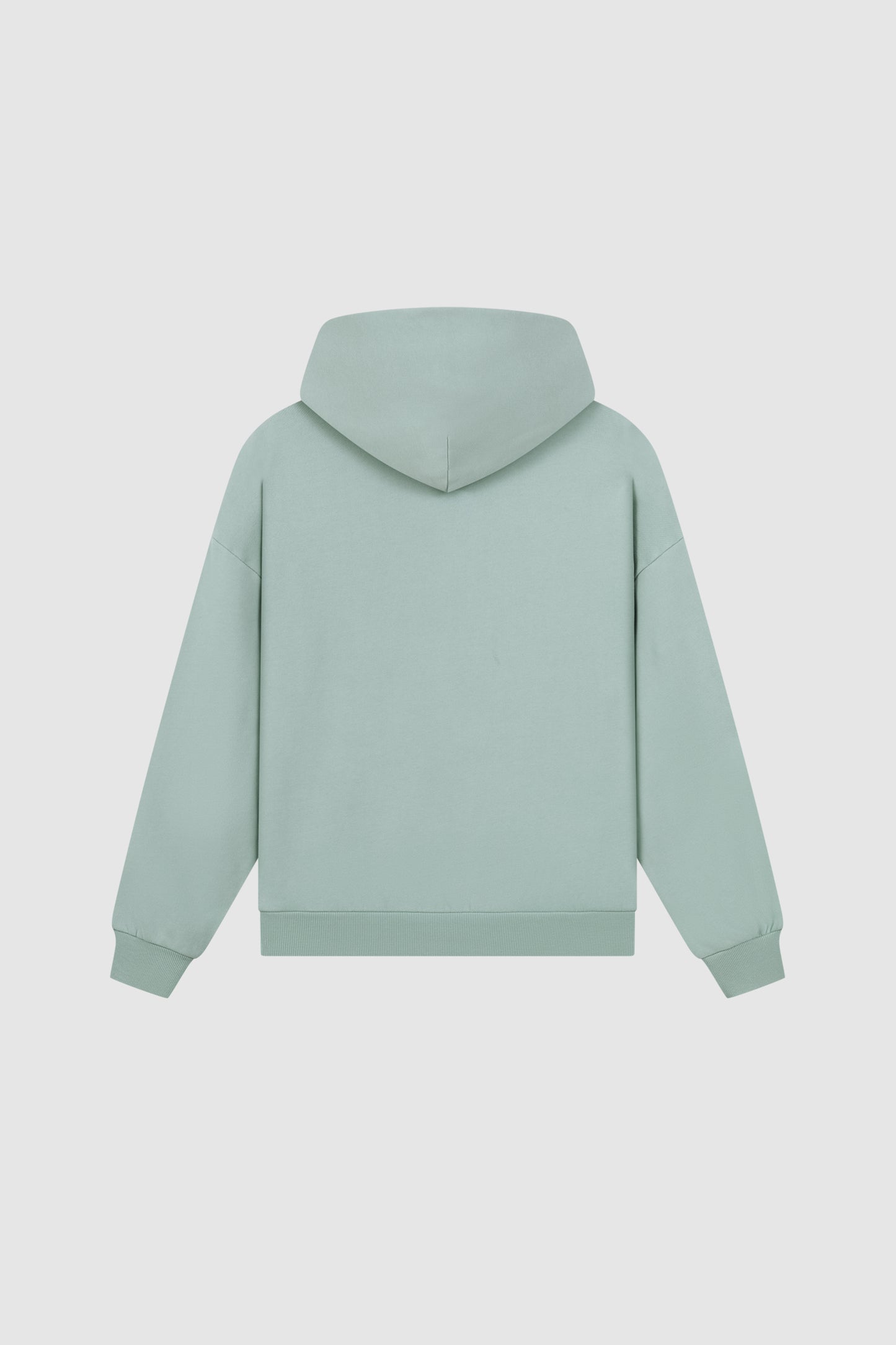RAWS Hoodie