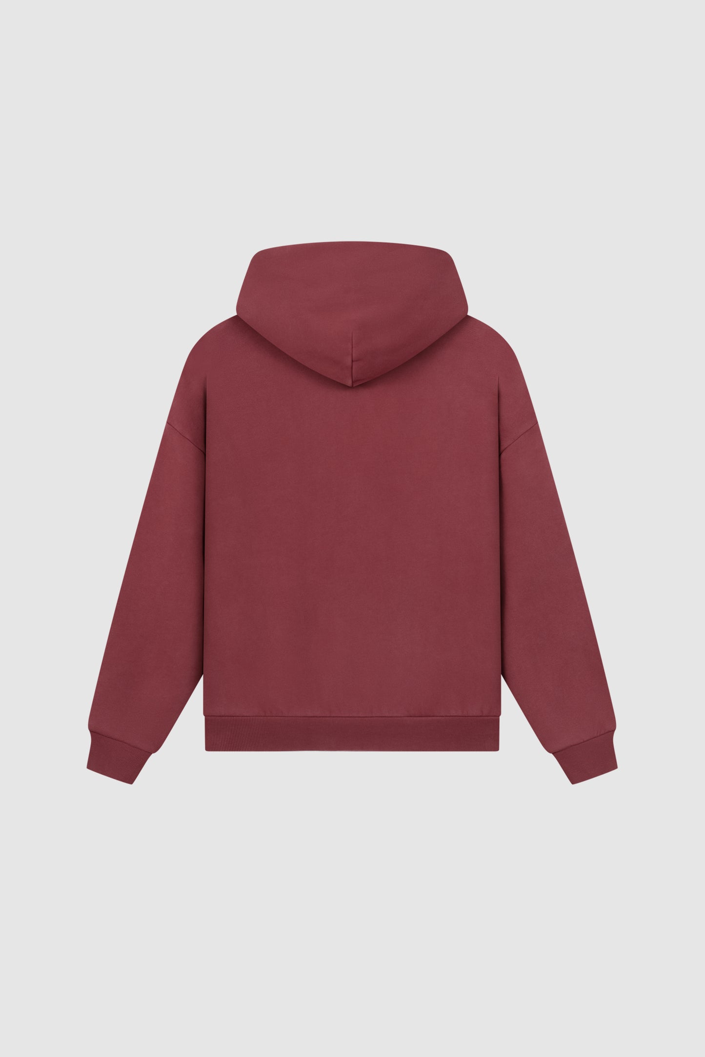 RAWS Hoodie