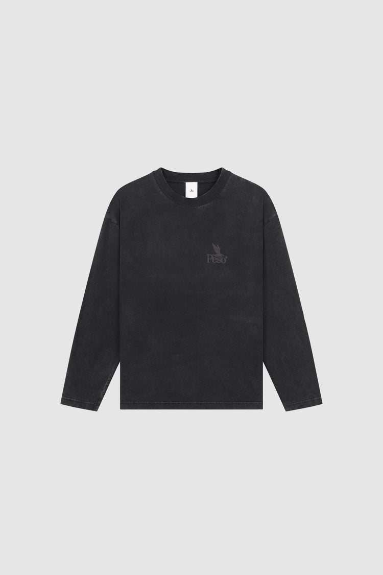 RAWS Longsleeve
