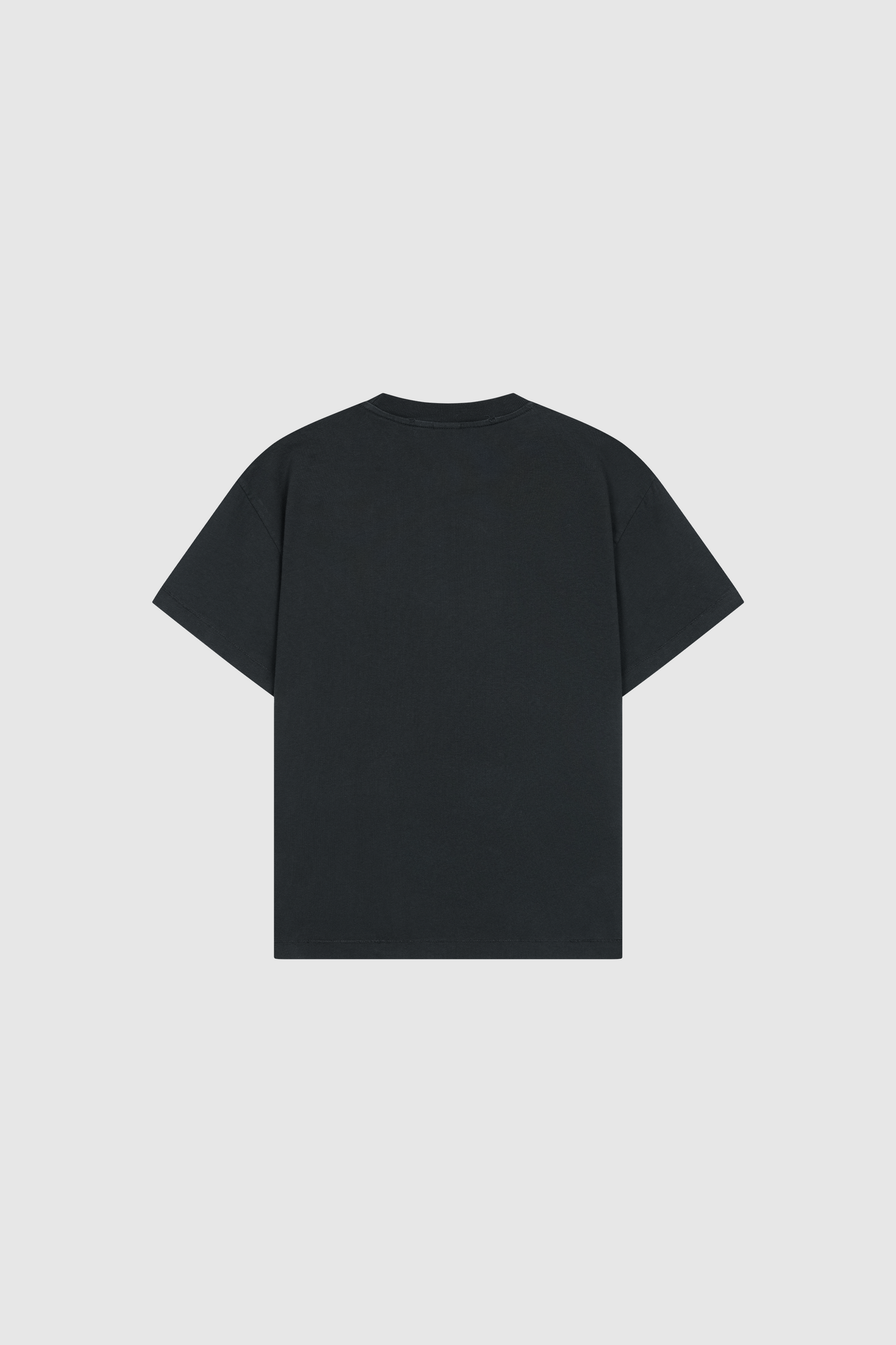 Evolution Tee