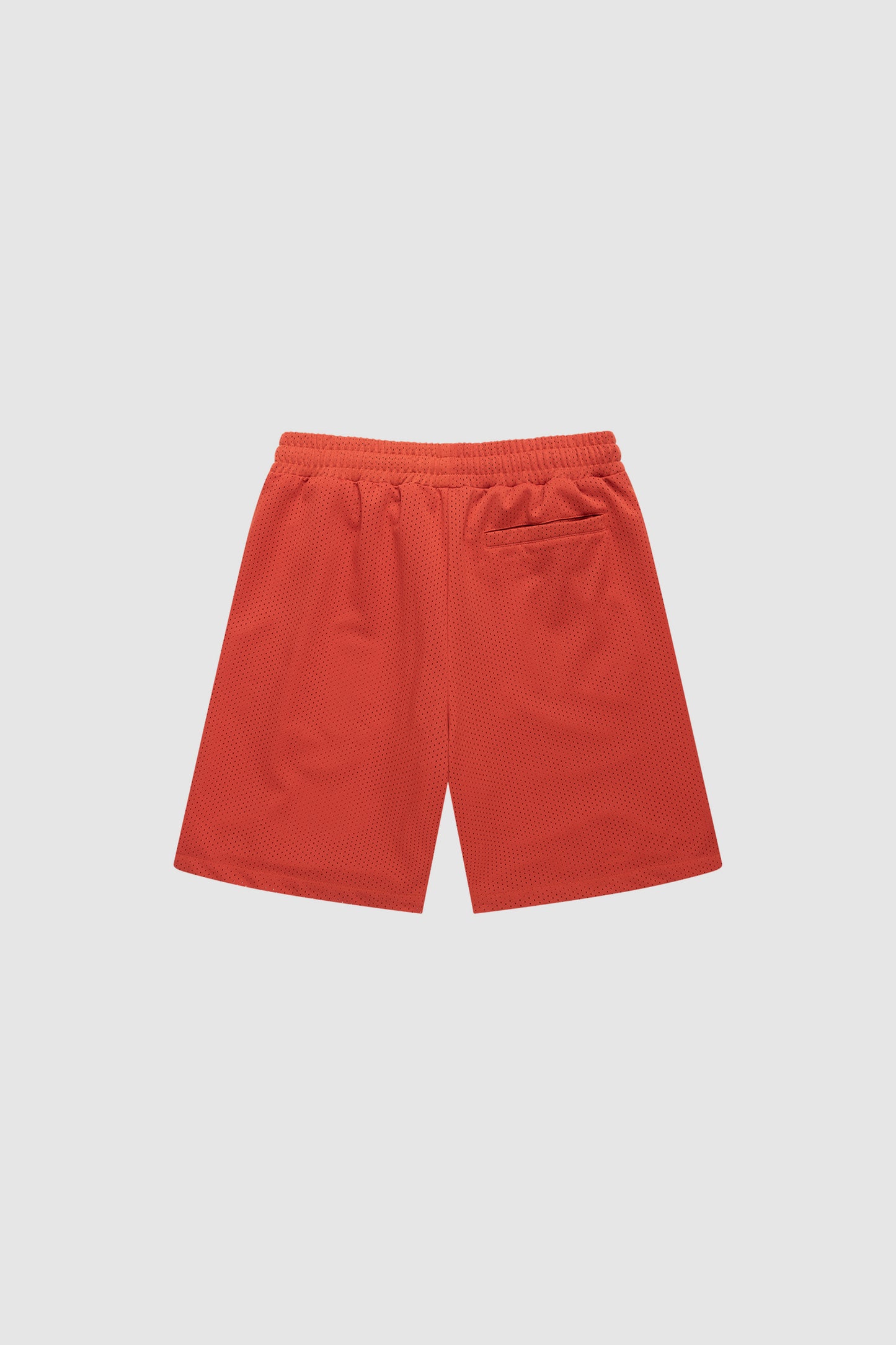 Cactus Mesh Shorts